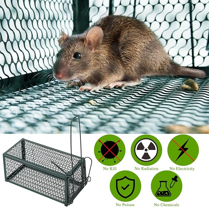 Qualirey 4 Pcs Humane Rat Trap Chipmunk Rodent Mouse Squirrel Trap Small Live Animal Mouse Voles Hamsters Live Cage Rat Cage for Mice Easy to Catch and Release (Green)