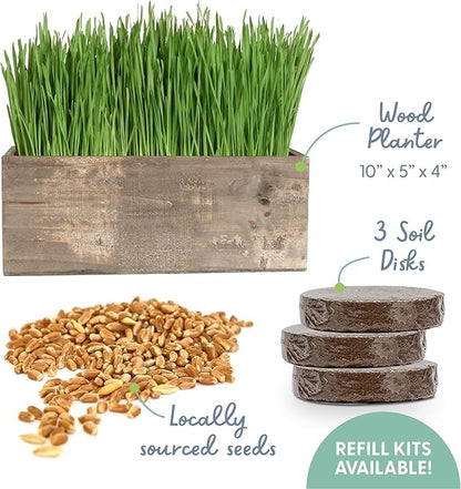 The Cat Ladies Cat Grass Kit Complete with Rustic Wood Planter, Organic Seed and Soil. Easy to Grow - Great for Indoor or Outdoor Cat, Dogs and Other Pets. Prevent Hairballs and Aid Digestion…