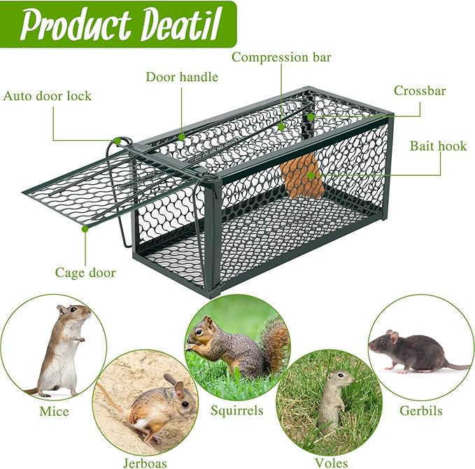 Qualirey 4 Pcs Humane Rat Trap Chipmunk Rodent Mouse Squirrel Trap Small Live Animal Mouse Voles Hamsters Live Cage Rat Cage for Mice Easy to Catch and Release (Green)