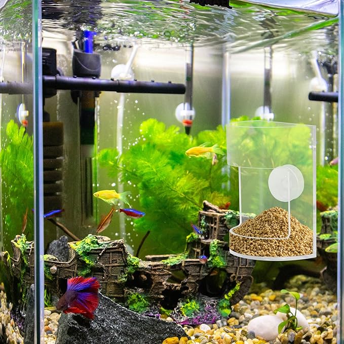 New Fish Tank Feed Tray with Suction Cup, Tank Divider Supplies, Feeding Tube Supplies Breeder Box for Aquarium, Round Aquariums & Fish Bowls Accessories