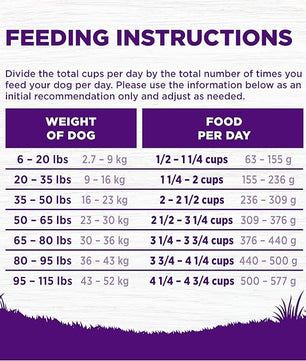 Wellness Complete Health Dry Dog Food, Grain Free, Natural, Lamb Recipe, (24-Pound Bag)
