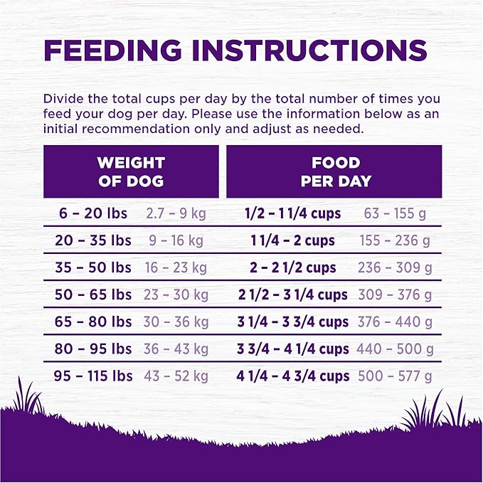 Wellness Complete Health Dry Dog Food, Grain Free, Natural, Lamb Recipe, (24-Pound Bag)