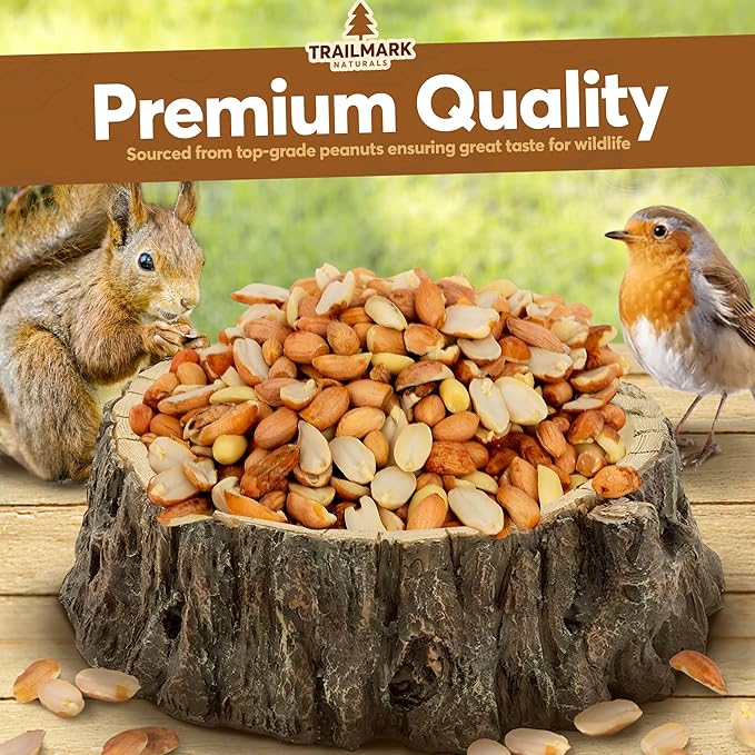 11 LB - Raw Shelled Peanuts for Squirrels, Out of Shell Peanuts for Birds and Wildlife- Squirrel Food, Wild Bird Seed - Grown in The USA