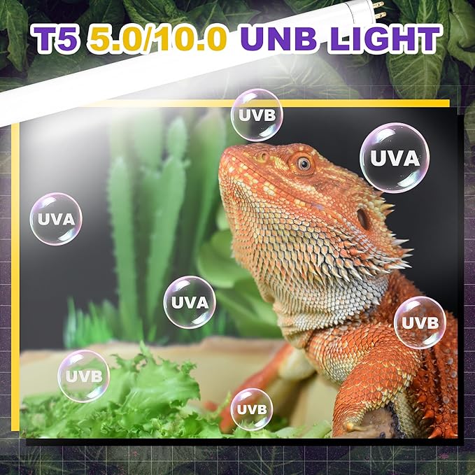 5.0 UVB Light for Reptiles, T5 HO 24 Watt Reptile Lamp Tube, Pack of 2 Fluorescent UVB Bulb, Basking Light for Bearded Dragon, Simulate Natural Sunlight for Reptiles and Amphibians