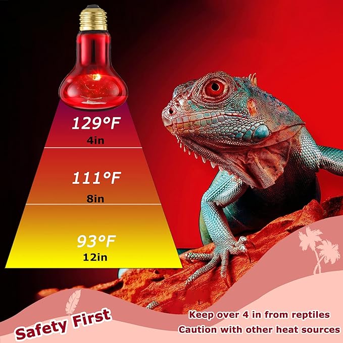 75W Infrared Basking Spot Light Bulbs for Reptiles & Amphibians – Red Heat Lamp for Bearded Dragons, Turtles, Snakes & Chicks, Great for Terrarium Heating & Brooder Warmth | 2 Pack