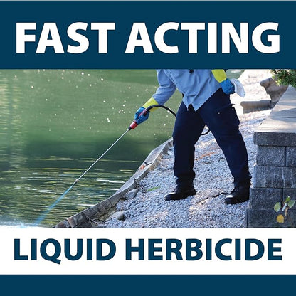 Airmax Shoreline Defense Emergent Weed Control Concentrated Treatment, Aquatic Herbicide (Glyphosate) for Phragmites, Pond Grass & Cattails, 1 Quart