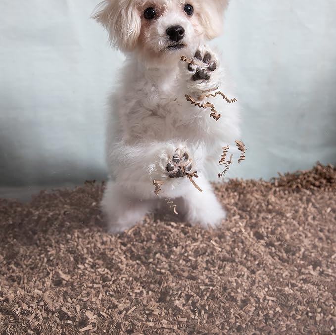 ECO BEDDING 99% Dust Free Paper Bedding for Small Pets and Birds, Eco Natural, 3 lb (Expands to 60 L)