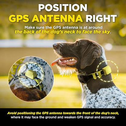 Dogtra GPS Fence – No Subscription, Custom Wireless Dog Fence with App, Smart Guidance & Return Reminder Tone/Vibration/Correction, IPX9K Waterproof Rechargeable Collar, Safe Freedom for Dogs 15 Lbs+