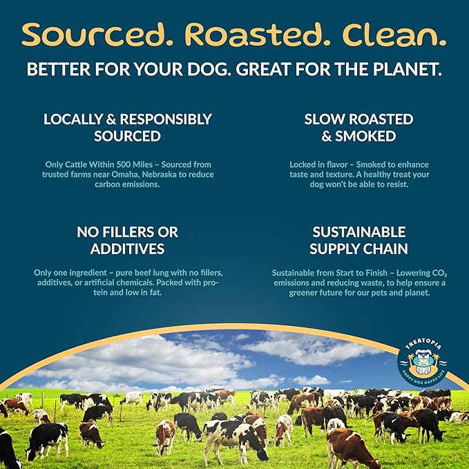 TREATOPIA Adventure Champ Dog Bones, 3-Piece 6” Shank Center Cut Marrow - Long-Lasting Natural Chews for All Dog Sizes, USA Made, Single Ingredient, Hand-Trimmed, Slow-Roasted, No Additives/Fillers