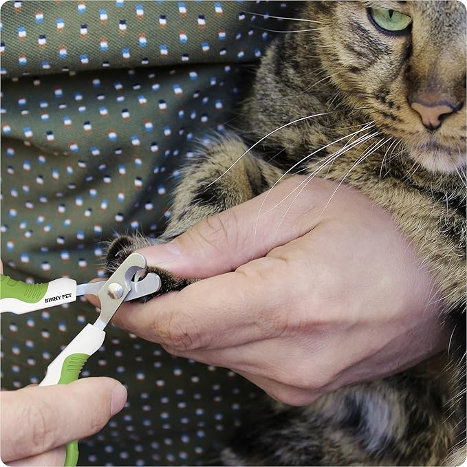 Cat Nail Clippers for Beginners and Groomers - Best Pet Nail Clippers & Claw Trimmer for Home Grooming Kit - Grooming Tool for Small Animals Tiny Dog Indoor Cat Bunny Rabbit Bird Kitten - Ebook Guide