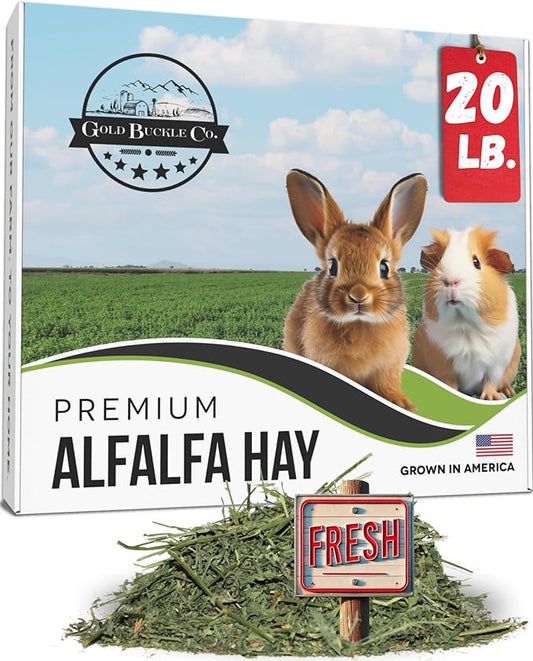20lb Package Freshly Dried Organic Alfalfa Hay for Guinea Pigs, Rabbits, Chinchillas, Goats, Hamsters & Ferrets, Small Animal Food Rich in Protein & Fiber, Hand-Selected, USA Grown