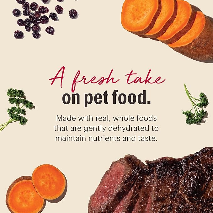 The Honest Kitchen Human Grade Wholemade™ Dehydrated Grain Free Beef Dog Food - Complete & Balanced Meal or Topper - 4 lb Box