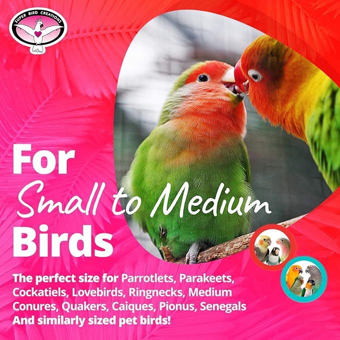 Super Bird Creations SB1083 Binky Bop Bird Toy - Engaging Enrichment Toy for Parrotlets, Parakeets, Cockatiels Toys, Small Plastic Bird Toys with Charms, Ideal for Medium Bird Size, 7.5" x 1.5"