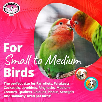 Super Bird Creations SB1083 Binky Bop Bird Toy - Engaging Enrichment Toy for Parrotlets, Parakeets, Cockatiels Toys, Small Plastic Bird Toys with Charms, Ideal for Medium Bird Size, 7.5" x 1.5"