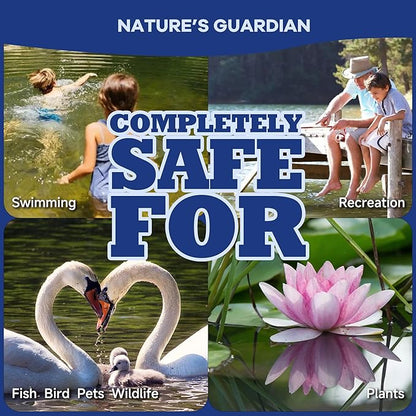 Dr. Raifya's Pond Fresher - 16 Packets - Pond Water Treatment for Outdoor Areas, Long-Lasting Clean Water & Odor with Beneficial Bacteria, Easy to Use, Fish, Pets & Plants Safe