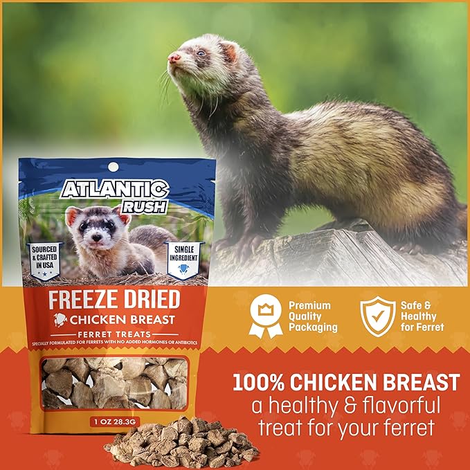 Freeze Dried Small Pet Treats - 1oz Resealable Bag of Treats for Ferrets - Ferret Snacks - Single Ingredient Ferret Food With No Preservatives Or Fillers- Small Animals Treats (1oz, Chicken Breast)