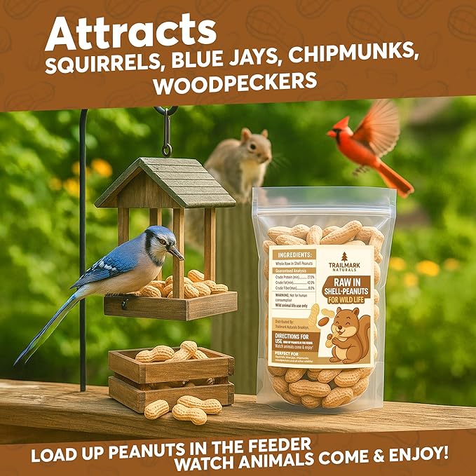 1 LB - Raw Peanuts For Squirrels, Raw In Shell Peanuts For Birds and Wildlife- Squirrel Food, Wild Bird Seed - Grown in The USA