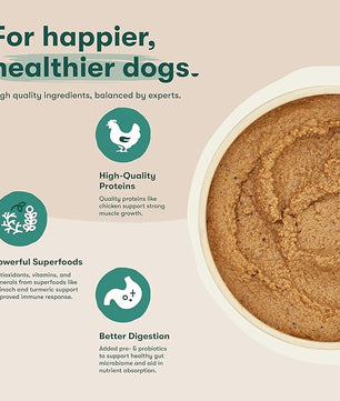 Jinx Premium Wet Dog Food Cans - Chicken & Vegetables Pate - Grain-Free Canned Dog Food Pate & Topper with Real Ingredients & No Fillers - All Life Stages, Breeds & Sizes - 12-Pack, 13 Oz