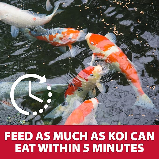 The Pond Guy Growth & Vibrance Fish Food for Show Quality Koi & Goldfish, Premium Protein Floating Pellets for Balanced Nutrition, 2 lbs