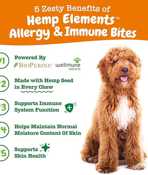 Zesty Paws Dog Allergy Relief - Anti Itch Supplement - Omega 3 Probiotics for Dogs - Salmon Oil Digestive Health - Soft Chews for Skin & Seasonal Allergies - with Epicor Pets – Hemp - 90 Count…