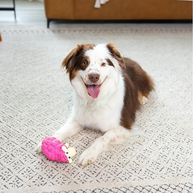 Outward Hound Tootiez Sheep Grunting Latex Rubber Dog Toy, Small