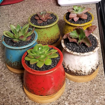 TOYPOPOR 6lb Succulents and Cactus Black Sand, Décor & Additive Tiny Stones, DIY Rocks Gravel, Decorative Pebbles for Bonsai, Fairy Gardening, Terrarium, Vases Fillers, Top Dressing