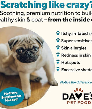 Dave's Pet Food Sensitive Skin Dog Food for Skin and Coat (Chicken & Sweet Potato), Wet Canned, Made in USA, 13.2oz Cans (12 Pack)