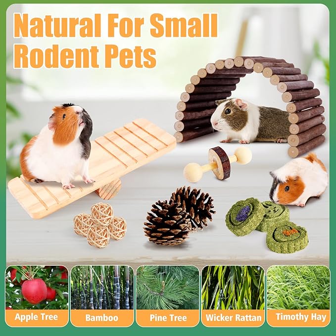 Kyouki Hamster Toys Guinea Pig Toys Set with Tunnel, Chewable Apple Wood & Natural Timothy Hay - Enrichment Chew Toys for Small Animals - 24+ Cage Accessories for Teeth Care & Boredom Relief (Blue)