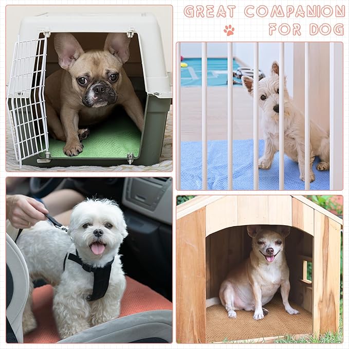 10 Pcs Guinea Pig Cage Liners Washable Rat Bedding for Guinea Pigs Controlling Absorbent Waterproof Pee Pads Blanket for Rabbits Hamster Small Animals Chinchilla(18 x 24 Inch,Multicolor)