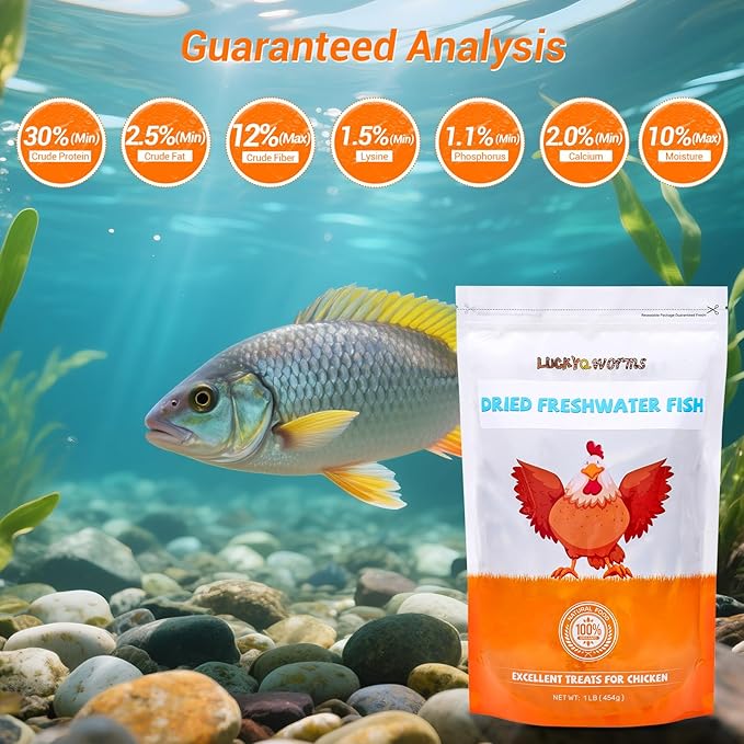 Dried Freshwater Fish, 1 Lbs Resealable Bag - Natural High-Protein Food for Turtles, Reptiles, Large Tropical Fish, Cats, Small Pets and Chicken - Crude Protein 30% Min