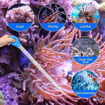 2 Pieces Aquarium Coral Feeder with 2 Pieces Stainless Steel Straight and Curved Feeding Long Tweezers, Acrylic Coral Spot Feeder Long Tube Reptile Feeding Tools for Aquatic Plant Lionfish Marine Fish