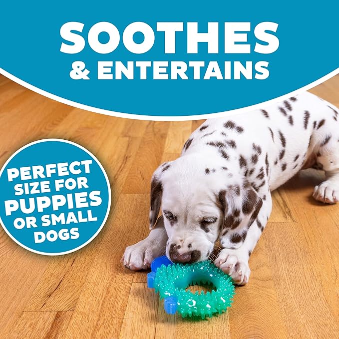 Outward Hound Cutie Chewies Hedgehog Dental Dog Chew Toy, Blue