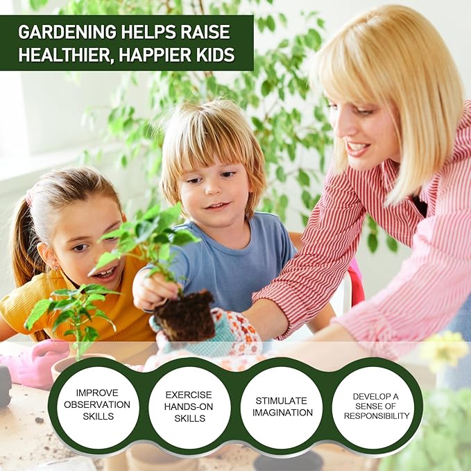 5 LBS White Pea Gravel, Natural Succulent and Cactus Gravel Pebbles, Pebbles for Indoor Plants, Natural Gardens Mulching, for Houseplants, for Aquarium Gravel, to Maintain Soil Aeration(4-6mm)