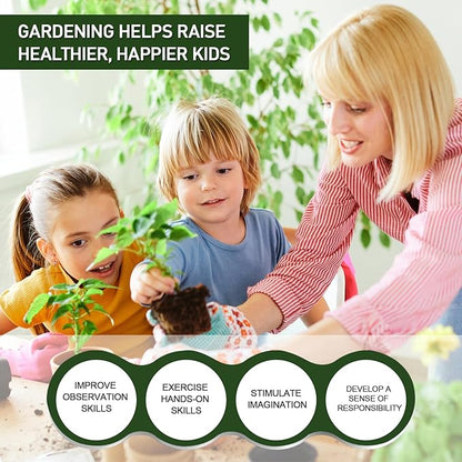 5 LBS White Pea Gravel, Natural Succulent and Cactus Gravel Pebbles, Pebbles for Indoor Plants, Natural Gardens Mulching, for Houseplants, for Aquarium Gravel, to Maintain Soil Aeration(4-6mm)