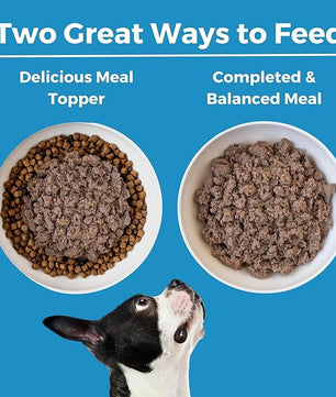 KOHA Limited Ingredient Diet Lamb Entrée for Dogs - Grain Free Wet Dog Food with No Fillers - Canned Dog Food Sensitive Stomach - 13 oz Pack of 12