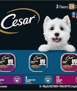 Cesar Filets in Gravy Adult Wet Dog Food, Filet Mignon, New York Strip and Prime Rib Flavors Multipack, 3.5 oz. (24 Count, Pack of 1)
