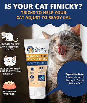 Under the Weather Pet Electrolytes Ready Cal Plus Gel for Cats | Vet-Formulated High-Calorie Supplement for Cats & Kittens | Promotes Weight Gain & Boosts Energy for Sick Felines | 3.5 Oz Tube Pack
