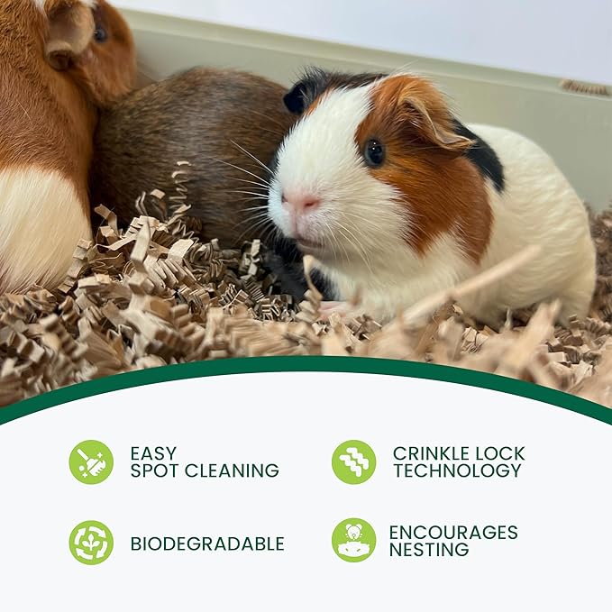 Eco Bedding 99% Dust-Free Paper Bedding for Small Pets & Birds, Eco Natural, 10L - Safe, Clean & Comfortable Nesting Material, Ammonia Blocker