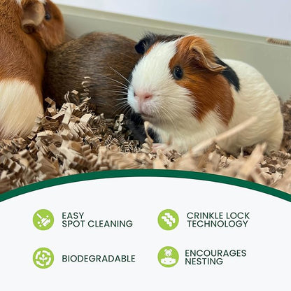 Eco Bedding 99% Dust-Free Paper Bedding for Small Pets & Birds, Eco Natural, 10L - Safe, Clean & Comfortable Nesting Material, Ammonia Blocker