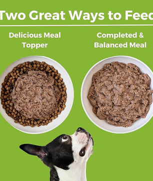 KOHA Limited Ingredient Diet Duck Entrée for Dogs - Sensitive Stomach Canned Dog Food - High Protein, No Fillers Pate Dog Food - 13 oz Pack of 12