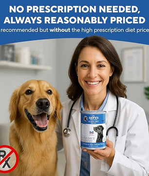 Dave's Dog Food Bland Diet Dog Food for Sick Dogs with Upset Stomach (Chicken & Rice), Economy Size for Large Pups or Big Eaters, Sensitive Stomach, 22 oz (Case of 12)