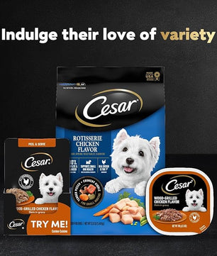 Cesar Filets in Gravy Wet Dog Food Wood-Grilled Chicken Flavor, 1.76 oz. Mini-Pouch (20 Count, Pack of 1)