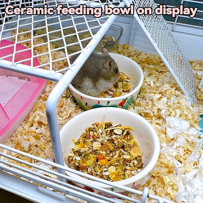 2 Pack Hamster Food Bowl Small Animals Ceramic Food Water Bowl Prevent Tipping Moving for Gerbil Chinchilla Hedgehog Rat (Color: Purple + Blue)