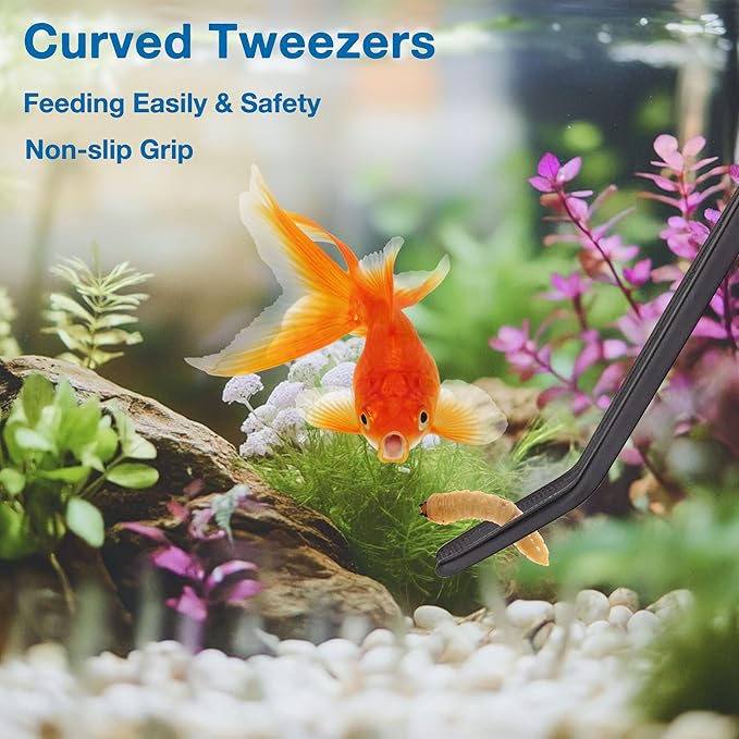 4 in 1 Aquarium Coral Feeder Kit, 2pcs Coral Feeder, with 2pcs Feeding Long Tweezers for Aquarium Marine Fish Reef Aquatic Plant Spider Snake Lizard (Black)