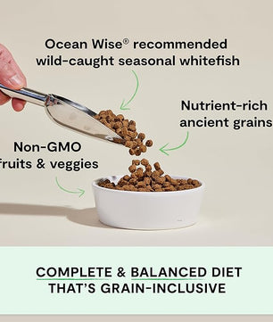 Open Farm, Ancient Grains Dry Dog Food, Protein-Rich & Nutrient Dense, 90% Animal Protein Mixed with Non-GMO Fruits, Veggies and Superfoods, Catch-of-The-Season Whitefish Recipe, 4lb Bag