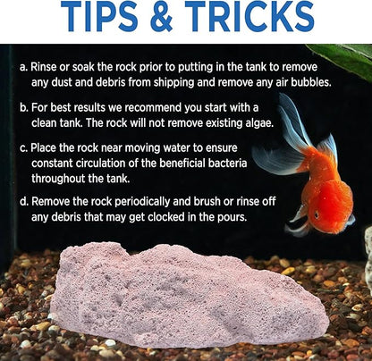 Fish Tank Rocks for Enhancing Water Clarity with Your Regular Cleaning Routine, Fish Friendly Aquarium Rocks, All Natural Aquarium Decor, Medium, Covers 750-1,500 Gallons