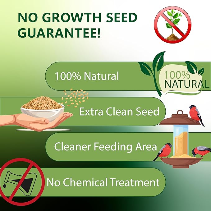 Nyjer/Thistle Seeds Wild Bird Food - 10 Pounds I No Grow Seed I Bird Seed for Wild Birds