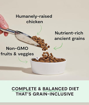 Open Farm, Ancient Grains Dry Dog Food, Protein-Rich & Nutrient Dense, 90% Animal Protein Mixed with Non-GMO Fruits, Veggies and Superfoods, Harvest Chicken Recipe, 4lb Bag