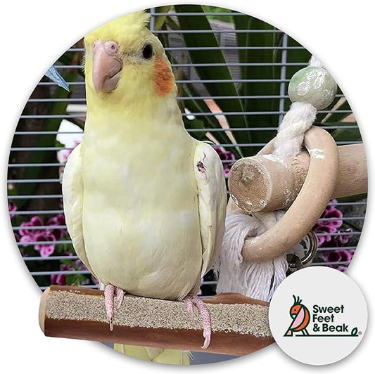 Superoost Manzanita Pumice Pedicure Perch- Easy to Install Bird Cage Accessories for Healthy Feet, Nails and Beak - Natural Bird Perches Imitates Birds' Life in The Wild - XL 14"