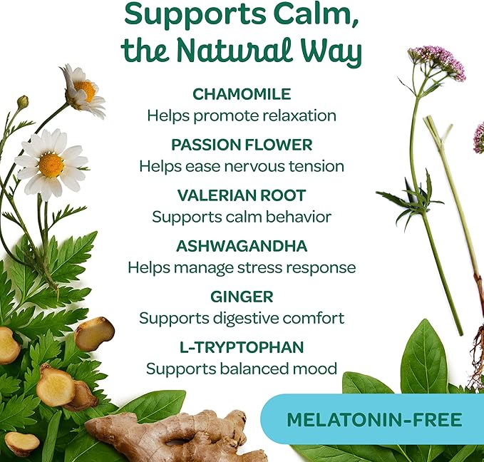 Wholesome Pride Calming Supplement for Dogs - 90 Soft Chews - Natural Anxiety Relief, Separation & Noise Stress Support with Herbal Ingredients, No Melatonin, Non-Drowsy